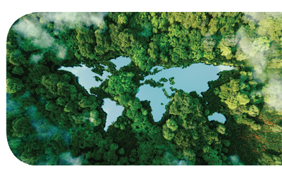 How Centurion Are Working Towards Achieving A More Sustainable Future