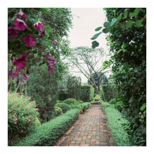Garden Accessories