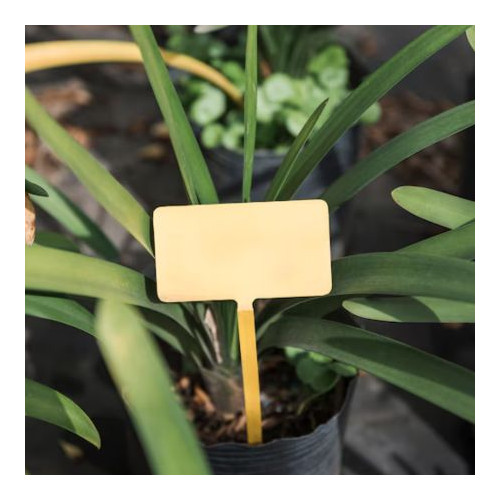 Garden Sundries