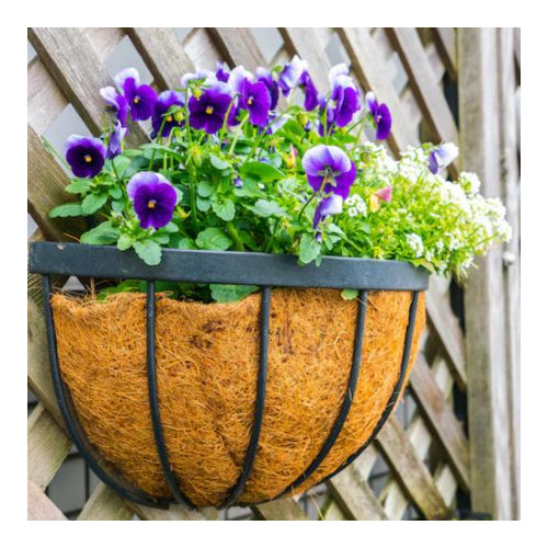 Hanging Baskets & Brackets