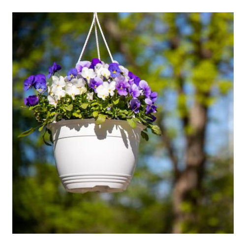 Outdoor and Storage Hooks