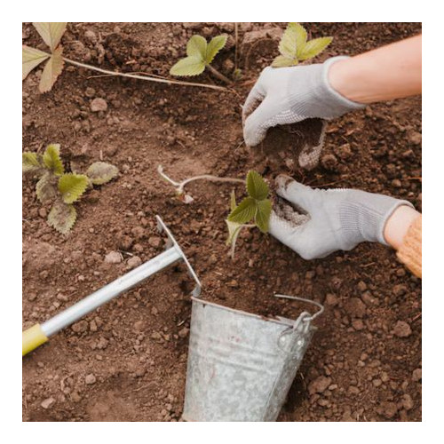Planting Pots & Trays