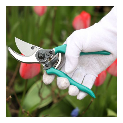 Pruners & Shears