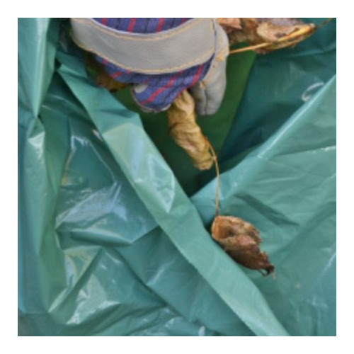 Sacks & Bin Liners