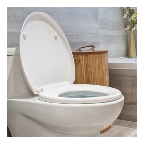 Toilet and Cistern Fittings