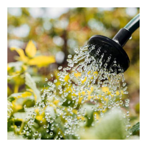 Watering & Irrigation