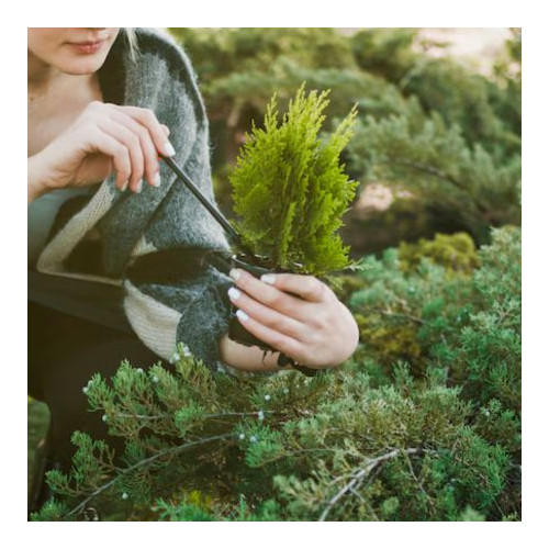 Wire Ties & Supports