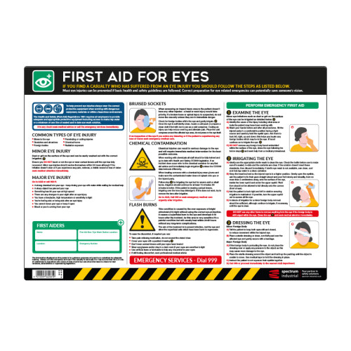 Safety Poster: First Aid for Eyes - PVC Poster