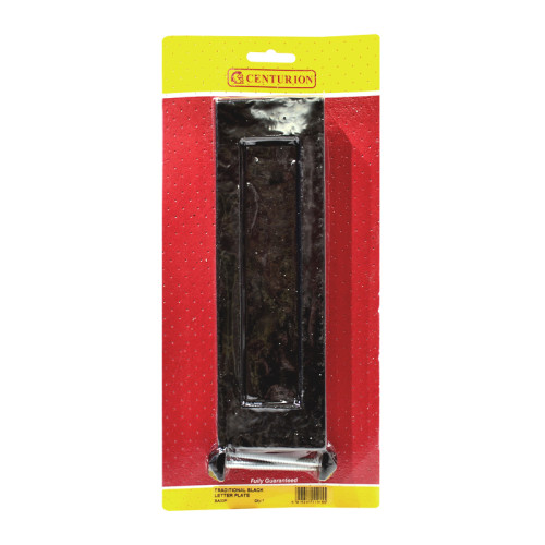 250mm x 75mm (10" x 3") Tudor Letter Plate