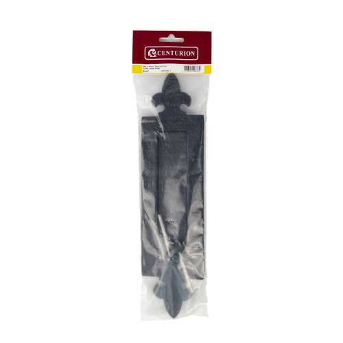 350mm x 87mm (14" x 3 1/2") Tudor Fleur De Lys Letter Plate