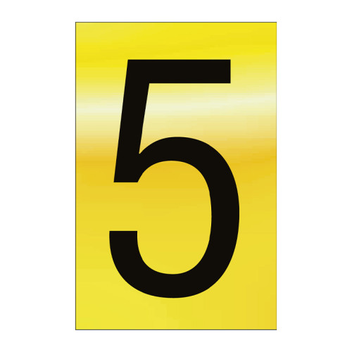 Character '5' - Polished Gold Effect - 50mm