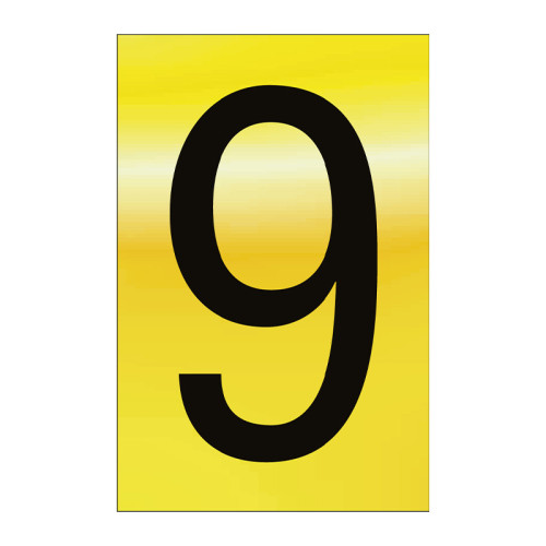 Character '9' - Polished Gold Effect - 50mm