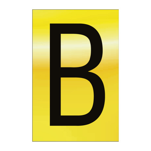 Character 'B' - Polished Gold Effect - 50mm