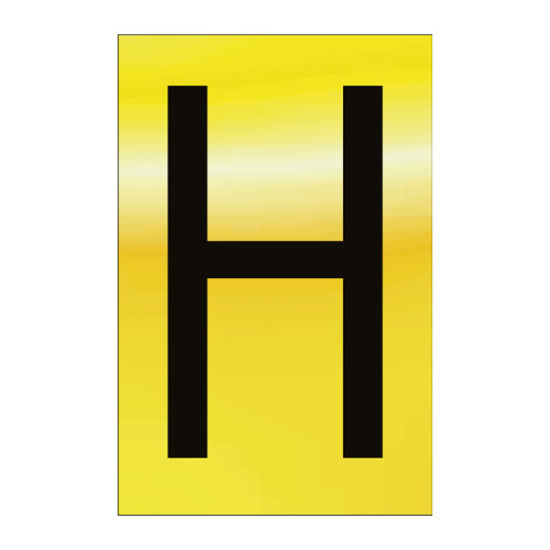Character 'H' - Polished Gold Effect - 50mm