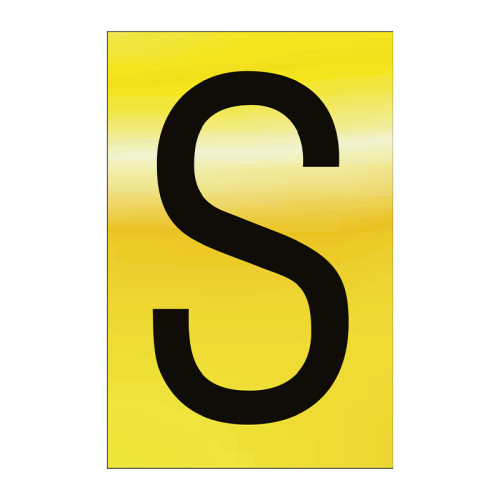 Character 'S' - Polished Gold Effect - 50mm