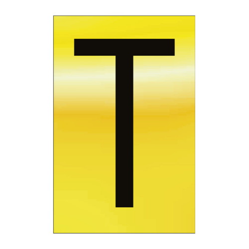 Character 'T' - Polished Gold Effect - 50mm