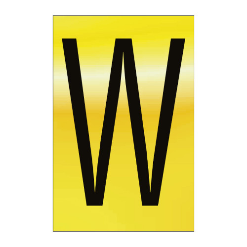 Character 'W' - Polished Gold Effect - 50mm