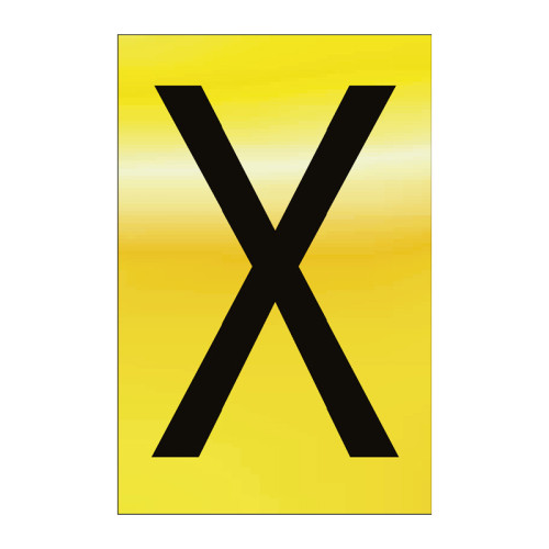 Character 'X' - Polished Gold Effect - 50mm