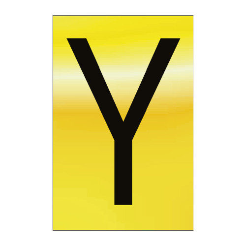 Character 'Y' - Polished Gold Effect - 50mm