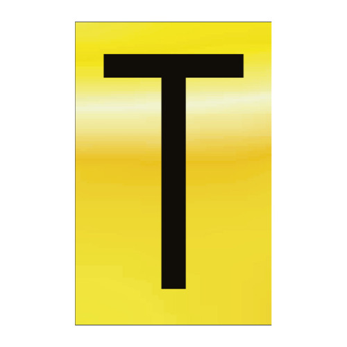 Character 'T' - Polished Gold Effect - 75mm