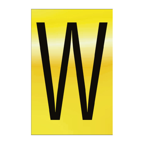 Character 'W' - Polished Gold Effect - 75mm