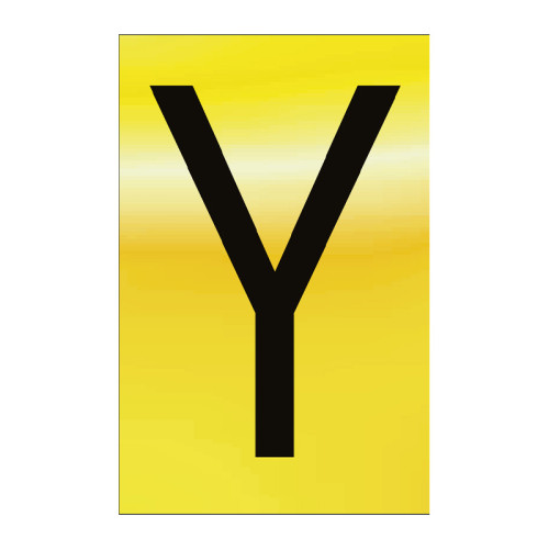 Character 'Y' - Polished Gold Effect - 75mm