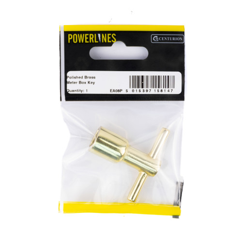 Polished Brass Meter Box Key