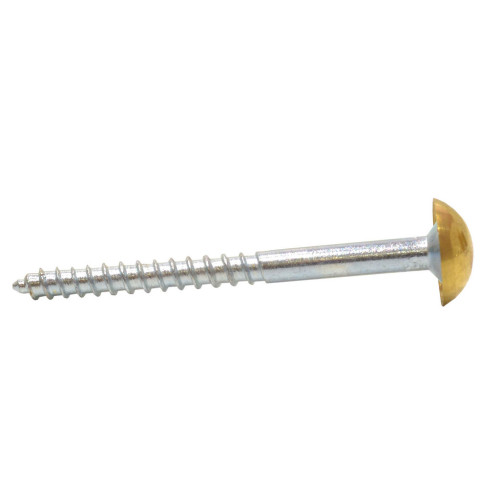 50mm x 8 EB Dome Mirror Screws (100)