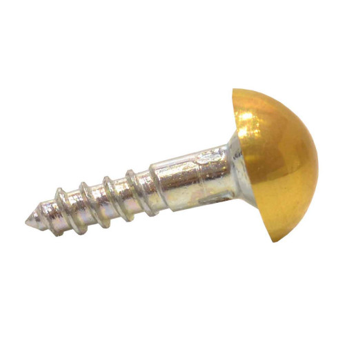 20mm x 8 EB Dome Mirror Screws (100)