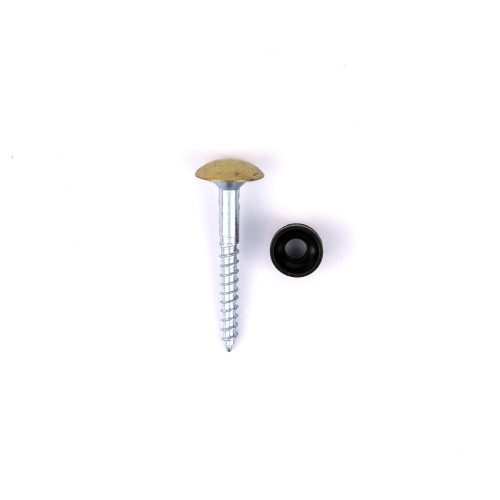 20mm x 8 EB Dome Mirror Screws (100)