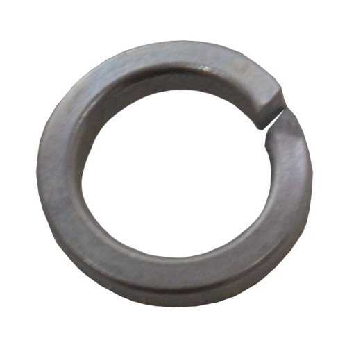 M6 ZP Spring Washer (1000)