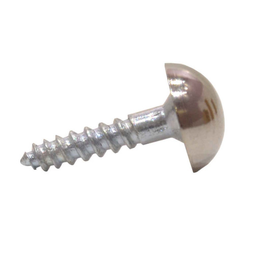 25mm x 8 CP Dome Mirror Screws (100)