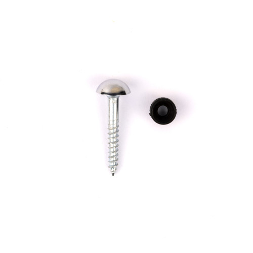 25mm x 8 CP Dome Mirror Screws (100)