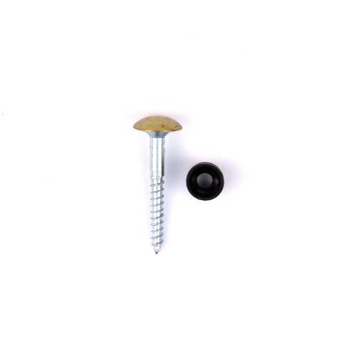 30mm x 8 CP Dome Mirror Screws (100)