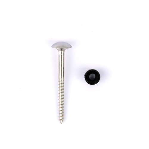 50mm x 8 CP Dome Mirror Screws (100)