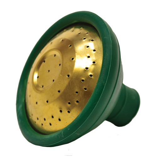 Watering Can Rose, Green