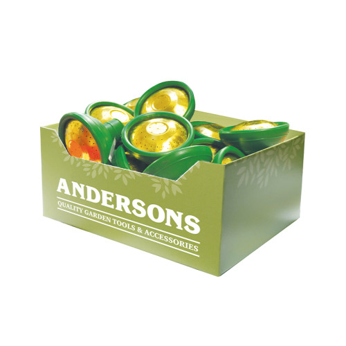 Display Box Deal - Watering Can Rose