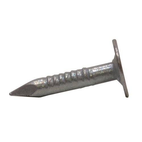 Repair Shop Large Head Clout Nails - Galvanised - 20mm - 500g