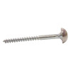 50mm x 8 CP Dome Mirror Screws  (Pack of 4)